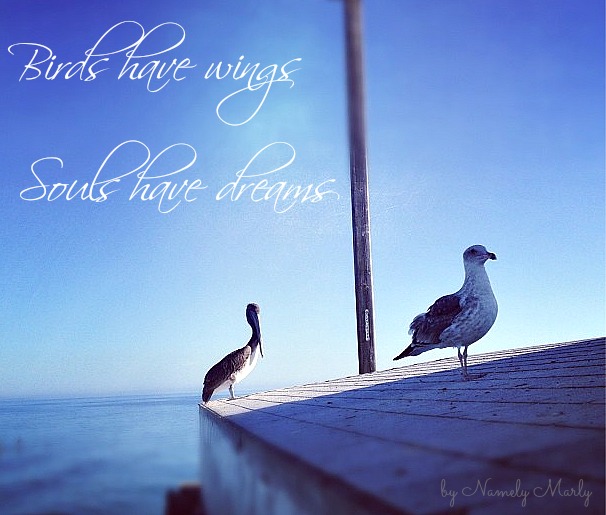 Two birds on a landing next to the ocean. The text on he photo reads: Birds have wings, souls have dreams.