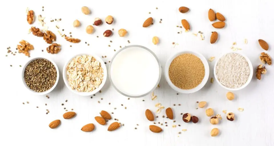 A series of bowls have different ingredients in them, from oats to nuts. There are nuts strewn around the bowls. The middle bowl has vegan milk in it.