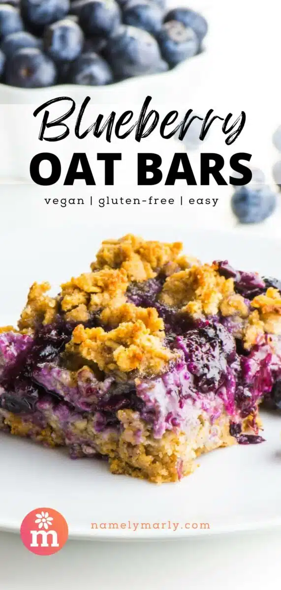 A slice of a blueberry oatmeal bar sits on a plate in front of fresh blueberries. The text reads, Blueberry Oat Bars: vegan, gluten-free, easy.