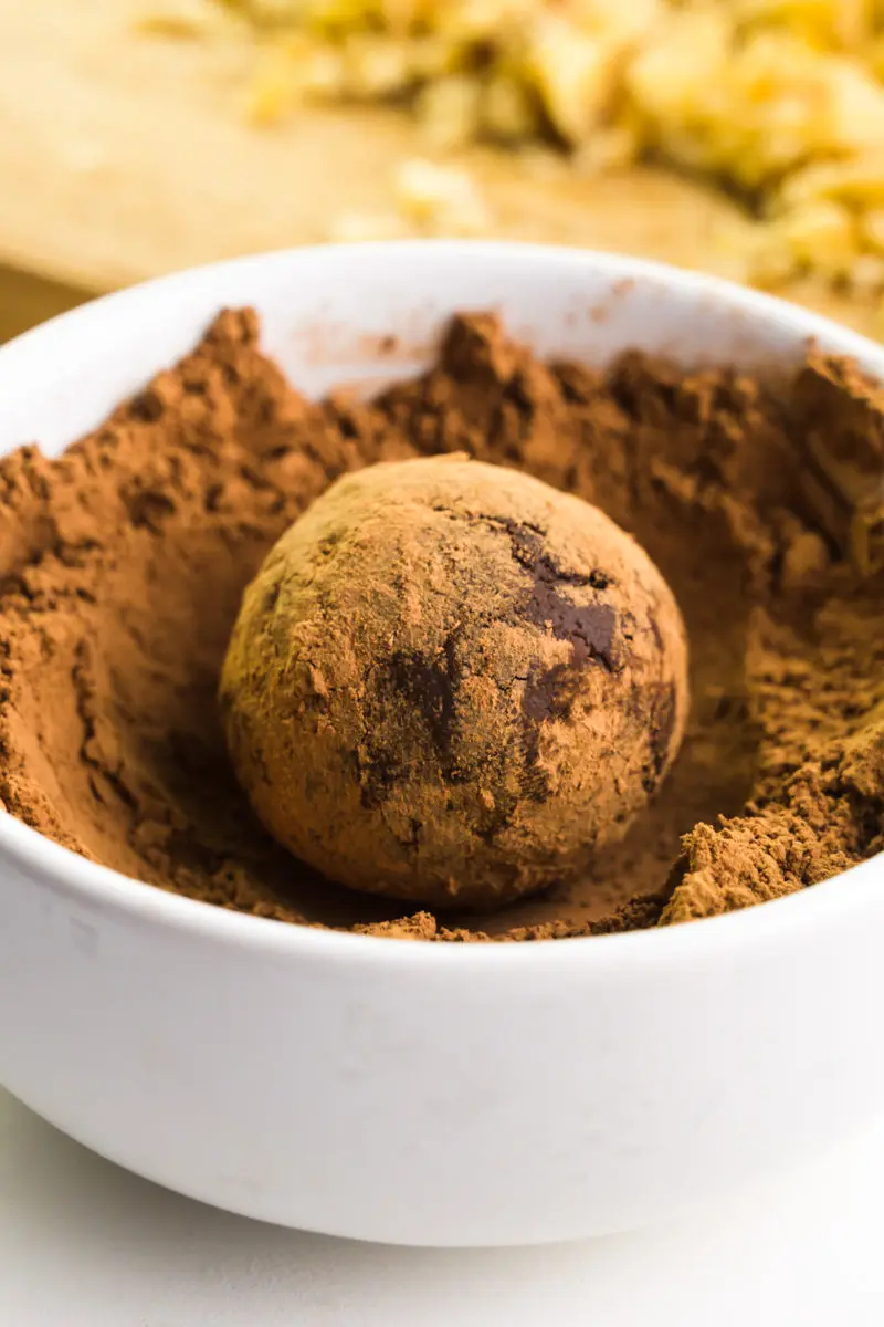 A chocolate truffle sits in a bowl with cocoa powder, having recently been rolled in it.