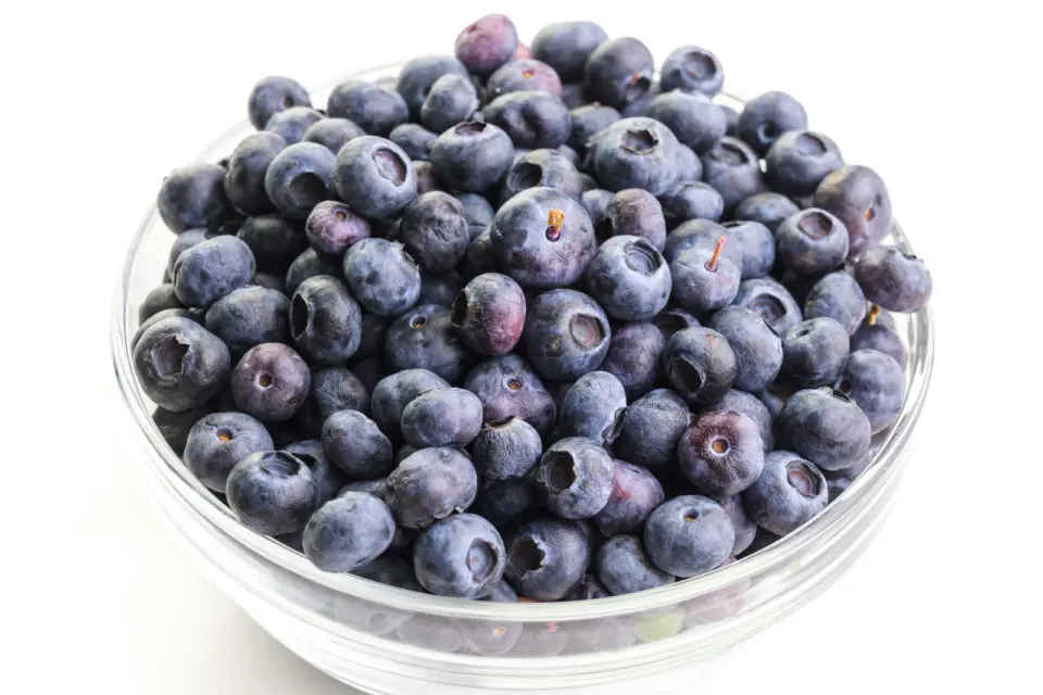 A glass bowl holds fresh blueberries.