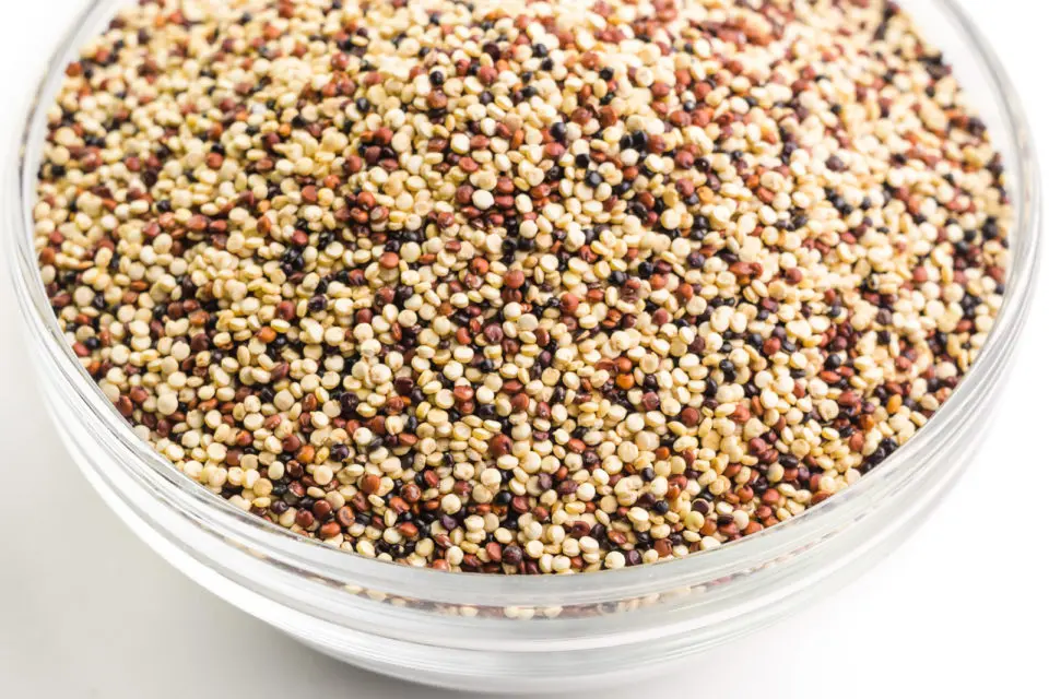 Looking down on a bowl full of multi-colored uncooked quinoa.