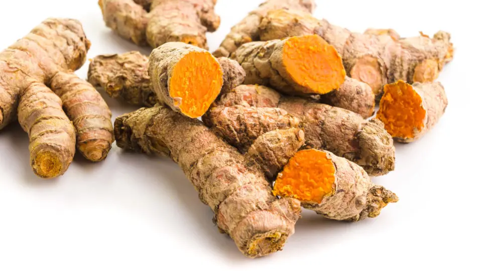 Several pieces of turmeric root sit on a white table. Several of them have been sliced, revealing bright orange flesh.