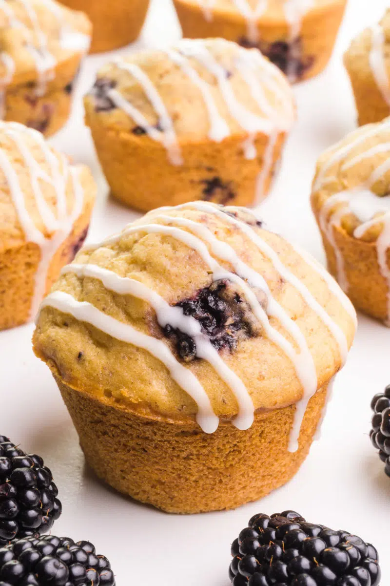 A muffin has been drizzled with vanilla frosting. There are more muffins and fresh blackberries sitting around it.