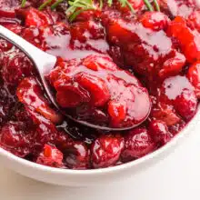 A spoon sits in a bowl of plant-based cranberry sauce.