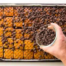 Chocolate chips are being spread over baked crackers in a pan.