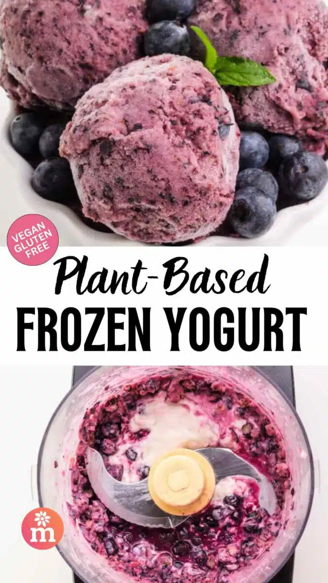 Blueberry frozen yogurt is on top and it's in the food processor on the bottom. the text reads, Plant-based Frozen Yogurt.