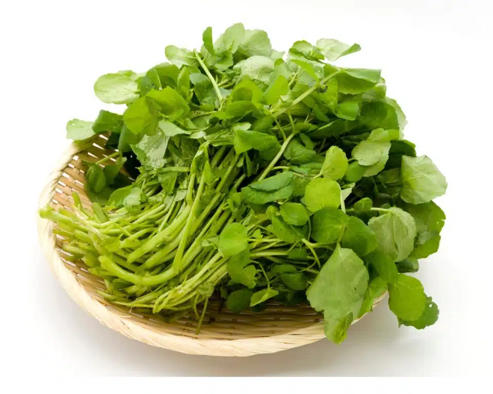 A bunch of watercress sits in a basket on a white counter.