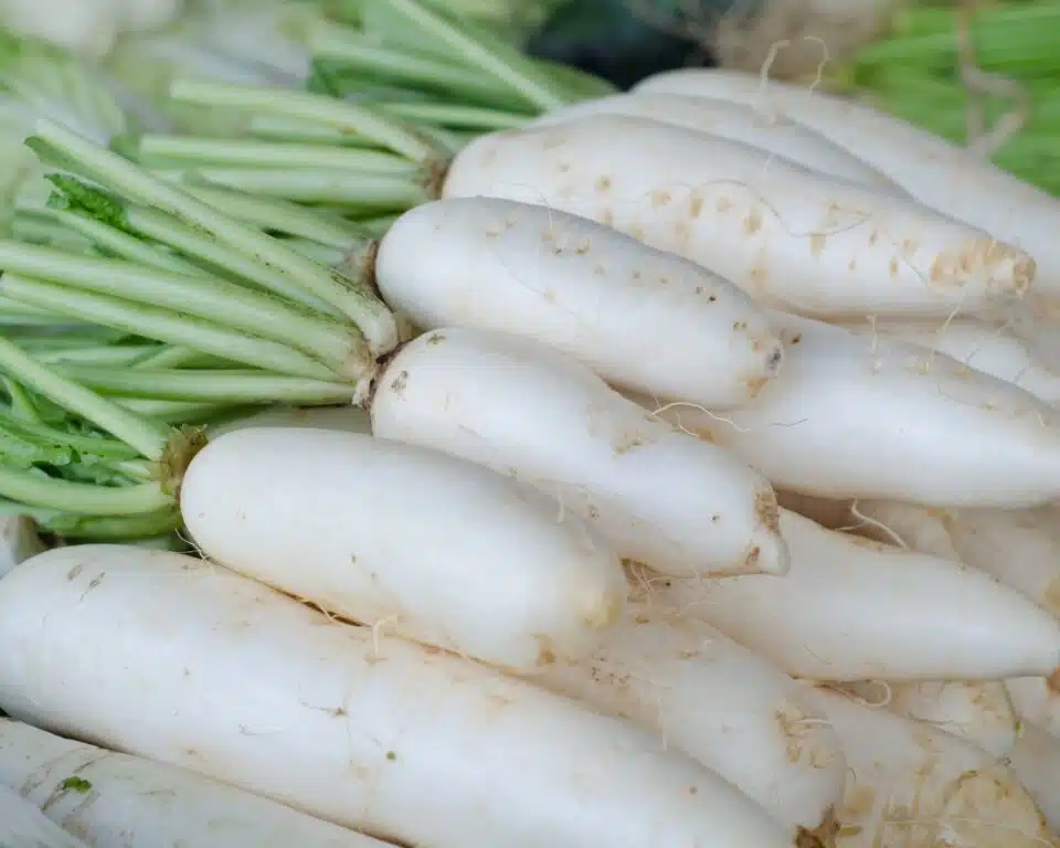 Several white radishes are stacked together with their green stems pointing away from the camera.